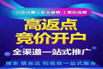 SEM服务公司成功案例解读